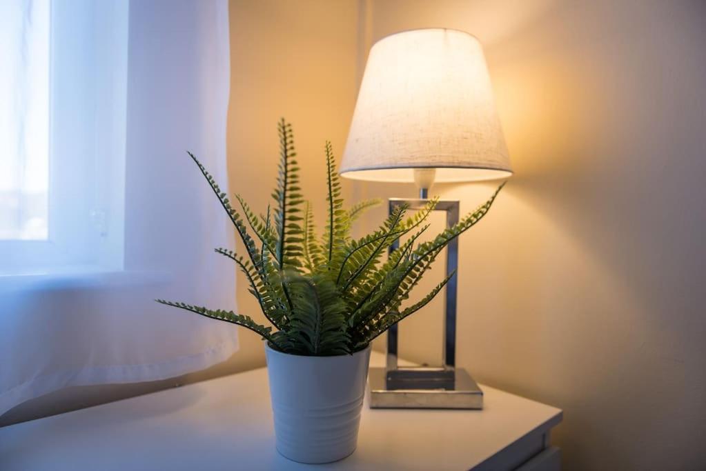 City Home From Home - Peaceful, Cosy & Modern 2Bed House Nottingham Exteriér fotografie